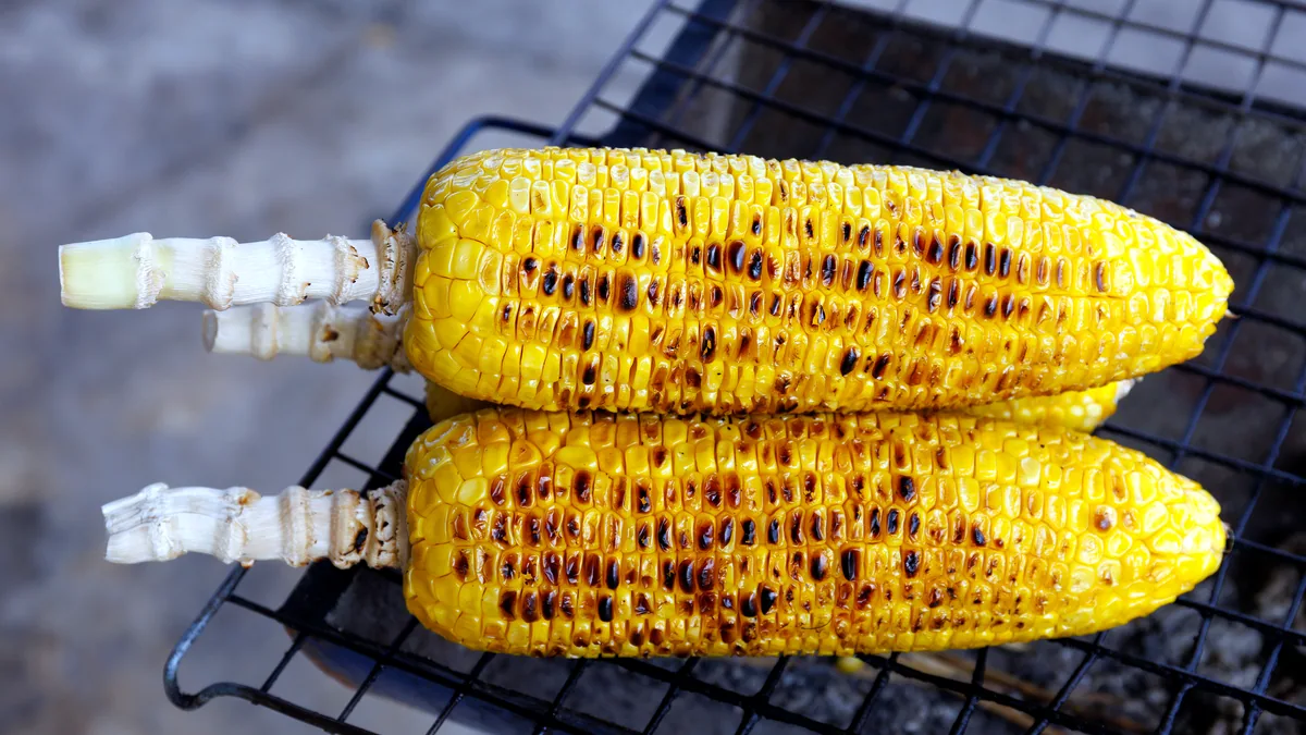 A grilled corn on the cob with lightly charred golden kernels.